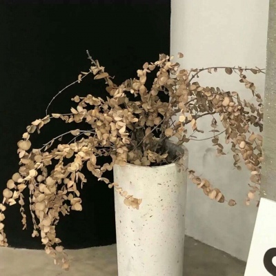 兽设洞穴场景绘制福瑞交流群